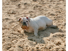 ��������� 9 ��� 179.jpg