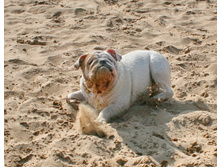 ��������� 9 ��� 182.jpg