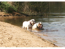 ��������� 9 ��� 126.jpg