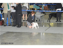 7b21851fbf82 �������.jpg