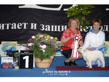 ������ ����.jpg