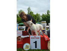 �������� �������.jpg