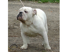 �������� � �������.jpg