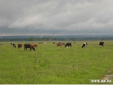 ����, ������ � �������� ����