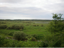 �������, ��� �� ���������� ����