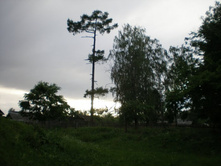 �������, ����� � ��������