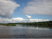 ���� ������� � ������� ��������