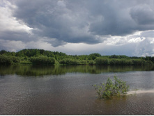 ���� ������� � ������� ��������