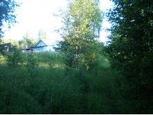 ���.��������