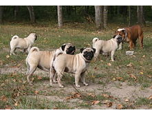 17 �������� ������� 136.jpg