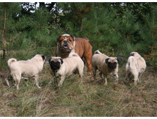 17 �������� ������� 171.jpg