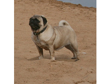 17 �������� ������� 208.jpg