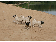 17 �������� ������� 213.jpg