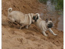 17 �������� ������� 344.jpg