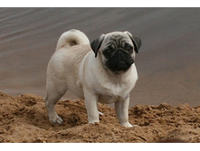 17 �������� ������� 346.jpg