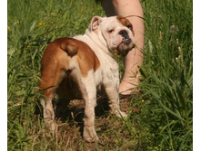 2012-05-21 16-28-23 - IMG_2394.JPG