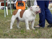 ���� ����� ������3.jpg