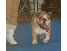 18 ������� �������� 027.jpg