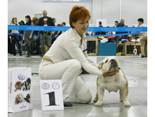 ������ 2011 173.jpg