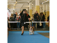 ���������� ��� ����������� 023.jpg