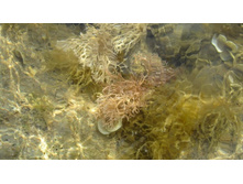 ������ ����� �� ����� � ��� ����� ������...