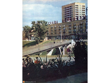 1441768_gorky-332.jpg