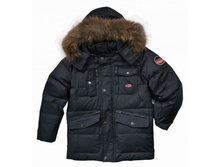 ��� 1137 ����-�����.jpg