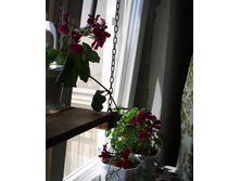 ������ �� �����