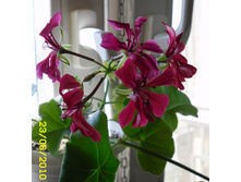 ������ �� �����1