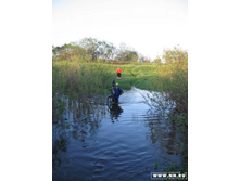 ������ ���� (���� �� ����)