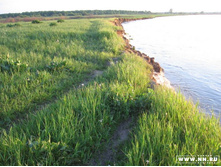 ����� ��������� ������ �����, ������ ������