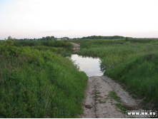 ������ ����, ��� ������� (������� "� ��������")