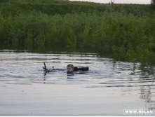 � � ����� �� �������� ������...