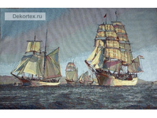 �������� 81�52