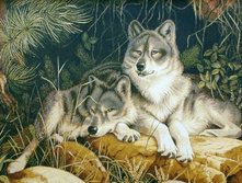 ����� 102�78