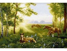 ������ ������� 70�50