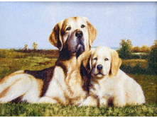 ��������� 65�50