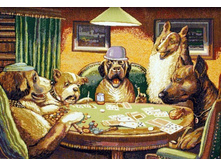 ����� 72�53