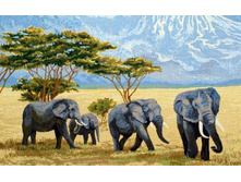 ����� � ������� 81�52