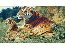 ������� 126�74