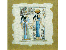 ����� 41�42