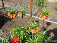 ���� ���)