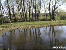 ����� 2008