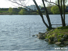 ����� 2008