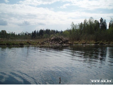 �������� �����