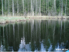 �������� �����