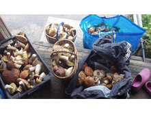 ���� ����� �� ����. :-)