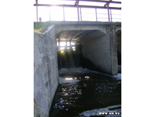 ����� ���� �� �����