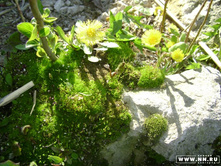 ���� �� ����� ����� ������)))