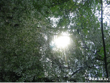 ������ � �����)